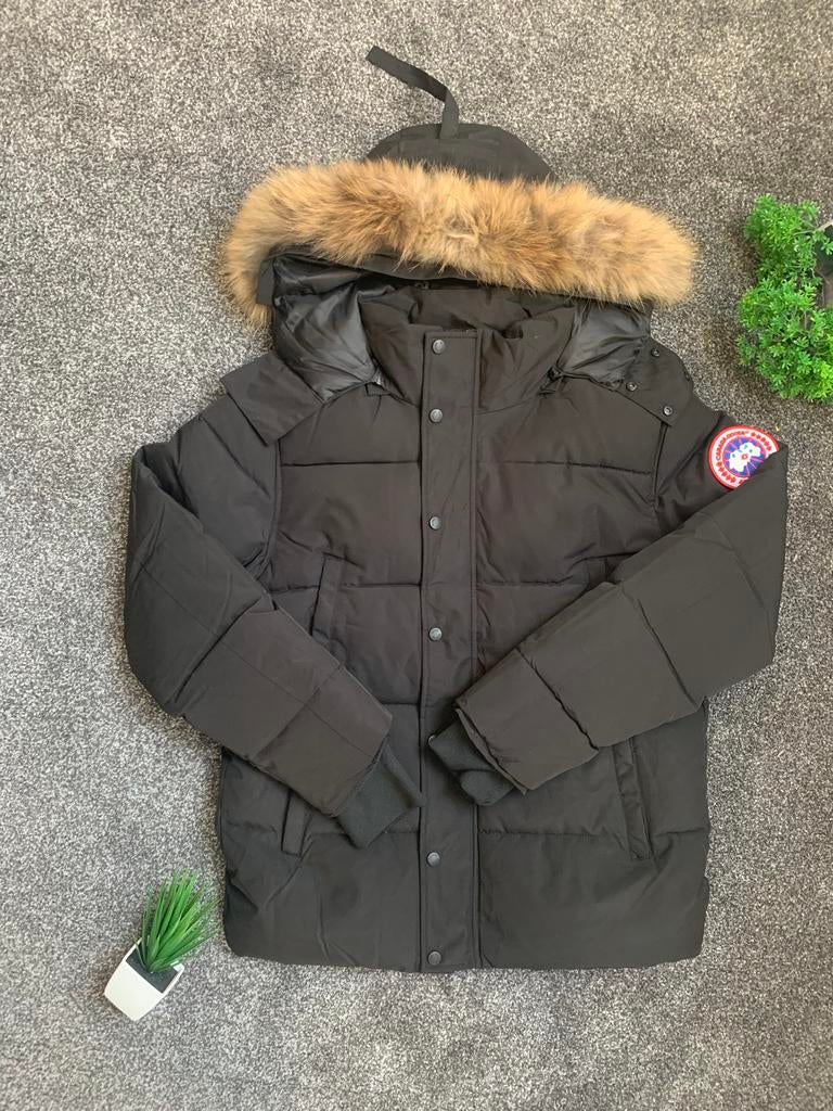 Canada goose jas, Kleding | Heren, Maat 48/50 (M), Zwart, Nieuw, Canada goose