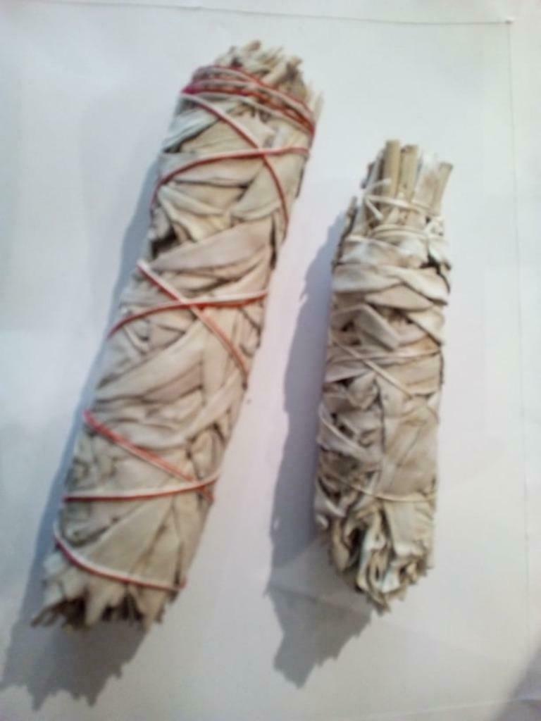 salie smudge, Tuin en Terras, Planten | Tuinplanten, Ophalen of Verzenden