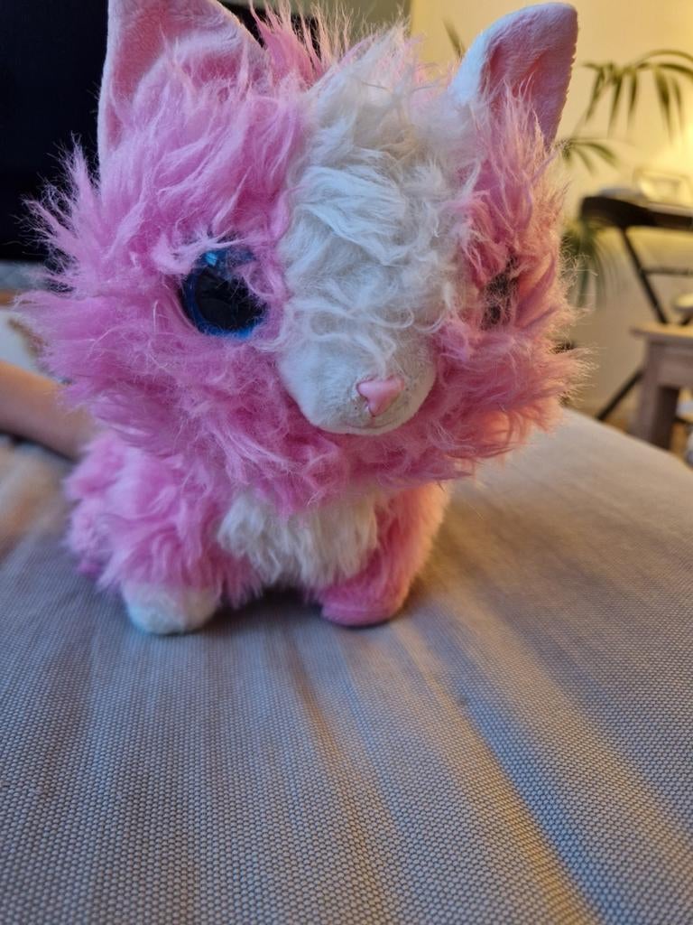 Scruff luvs kat knuffel, Kinderen en Baby's, Speelgoed | Knuffels en Pluche, Ophalen, Zo goed als nieuw