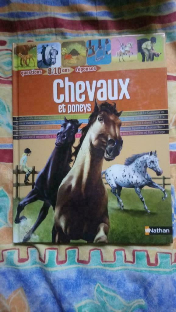 Questions- réponses : chevaux et poneys, Enlèvement ou Envoi, Comme neuf, Chevaux ou Poneys