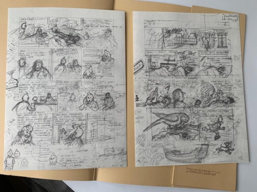 Kuifje Tintin Portfolio - projet planches Alph-Art Rombaldi, Enlèvement ou Envoi, Tintin, Comme neuf, Image, Affiche ou Autocollant