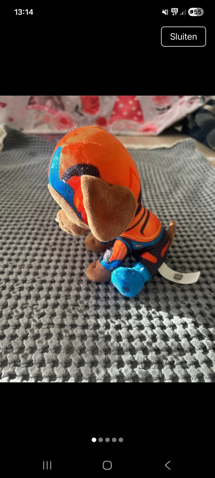 knuffel Zuma, Enlèvement