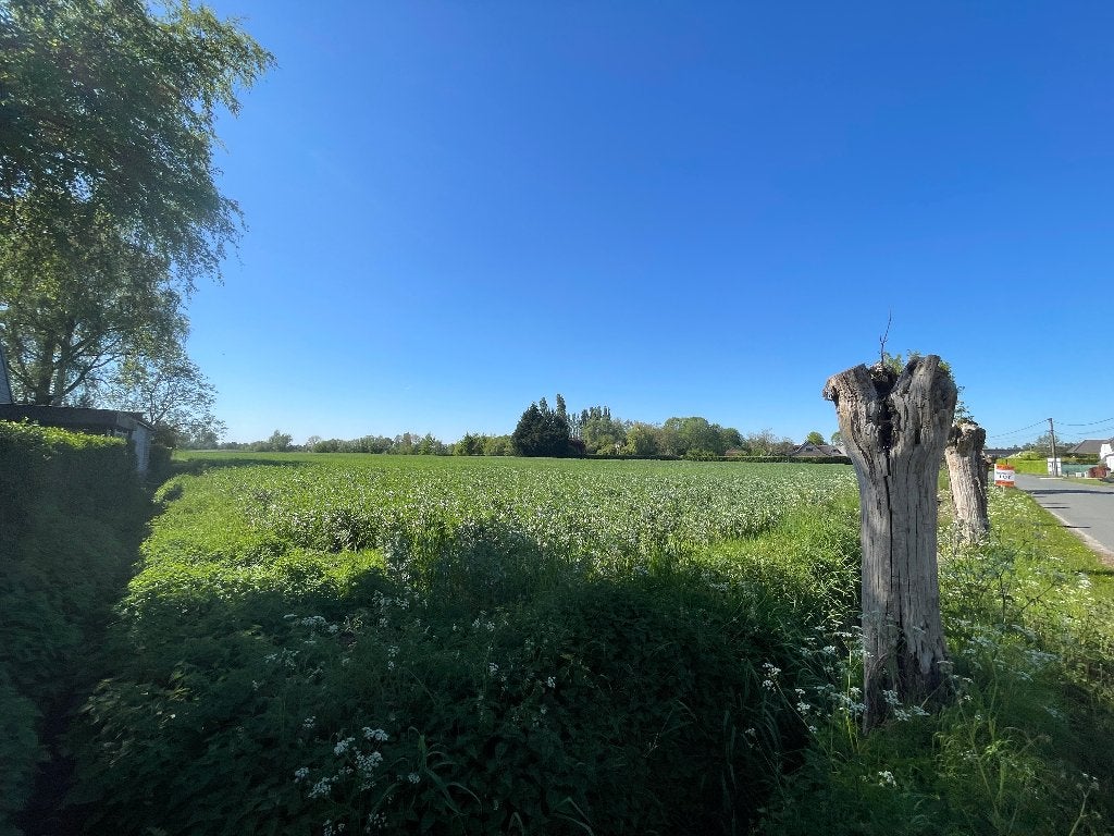 Landbouwgrond, Immo, Terrains & Terrains à bâtir, 1500 m² ou plus, Ventes sans courtier