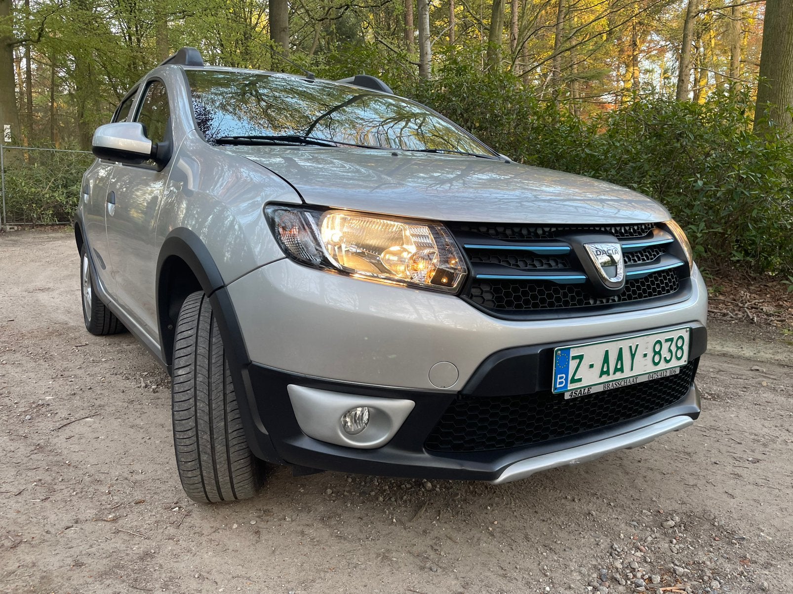 Stepway 0,9 14 000 km/A/C ! ! ! ! !, Argent ou Gris, Achat, Euro 6, Entreprise