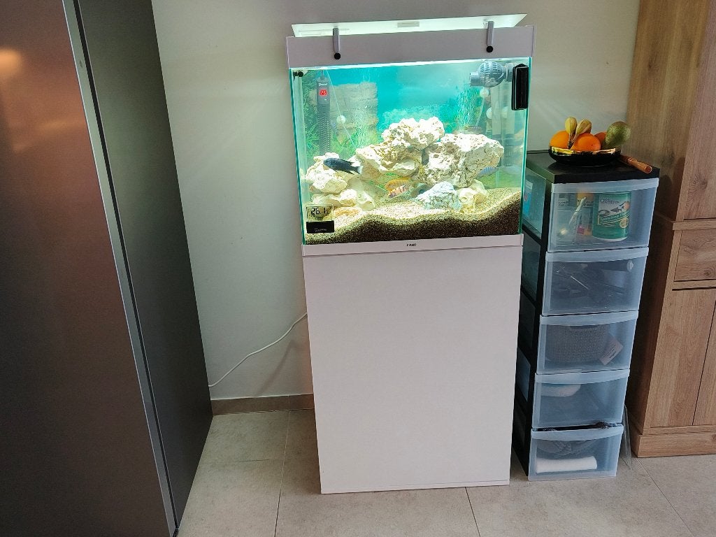 Aquarium, Comme neuf, Enlèvement, Autres types, Poissons inclus