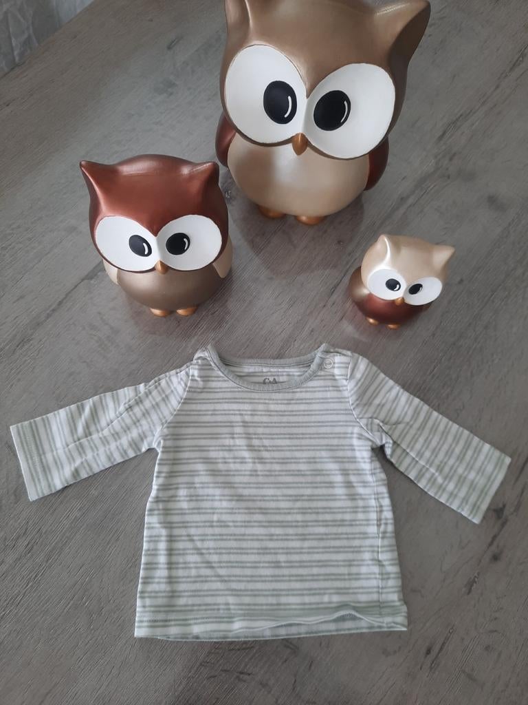 Longsleeve/t-shirt lange mouwen C&A maat 56, Kinderen en Baby's, Babykleding | Maat 56, Ophalen of Verzenden