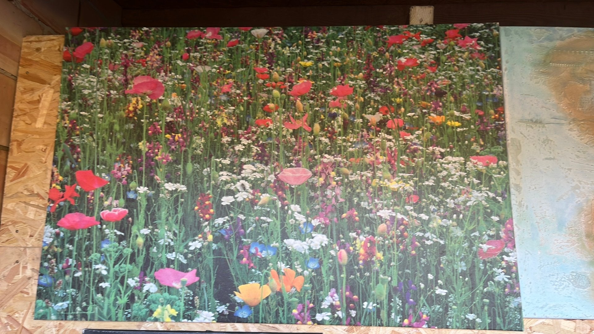Foto wilde bloemen ( ikea), Ophalen, Zo goed als nieuw