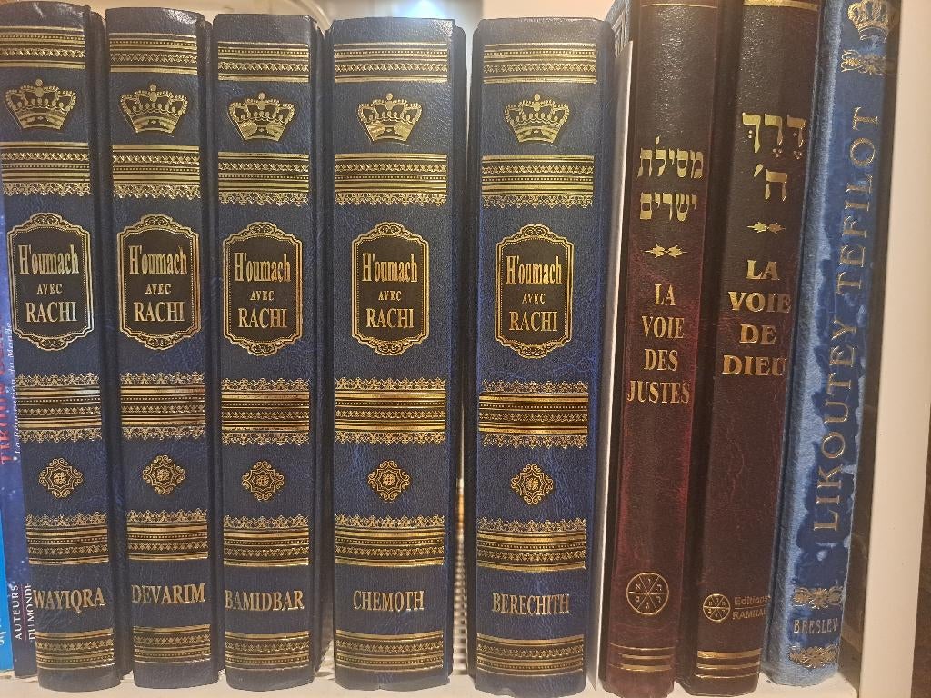 5 Livres de la Torah, Ophalen of Verzenden, Zo goed als nieuw, Rachi