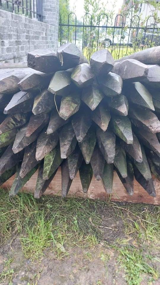 Weidepalen 2,5m, Tuin en Terras, Ophalen, 250 cm of meer, Palen