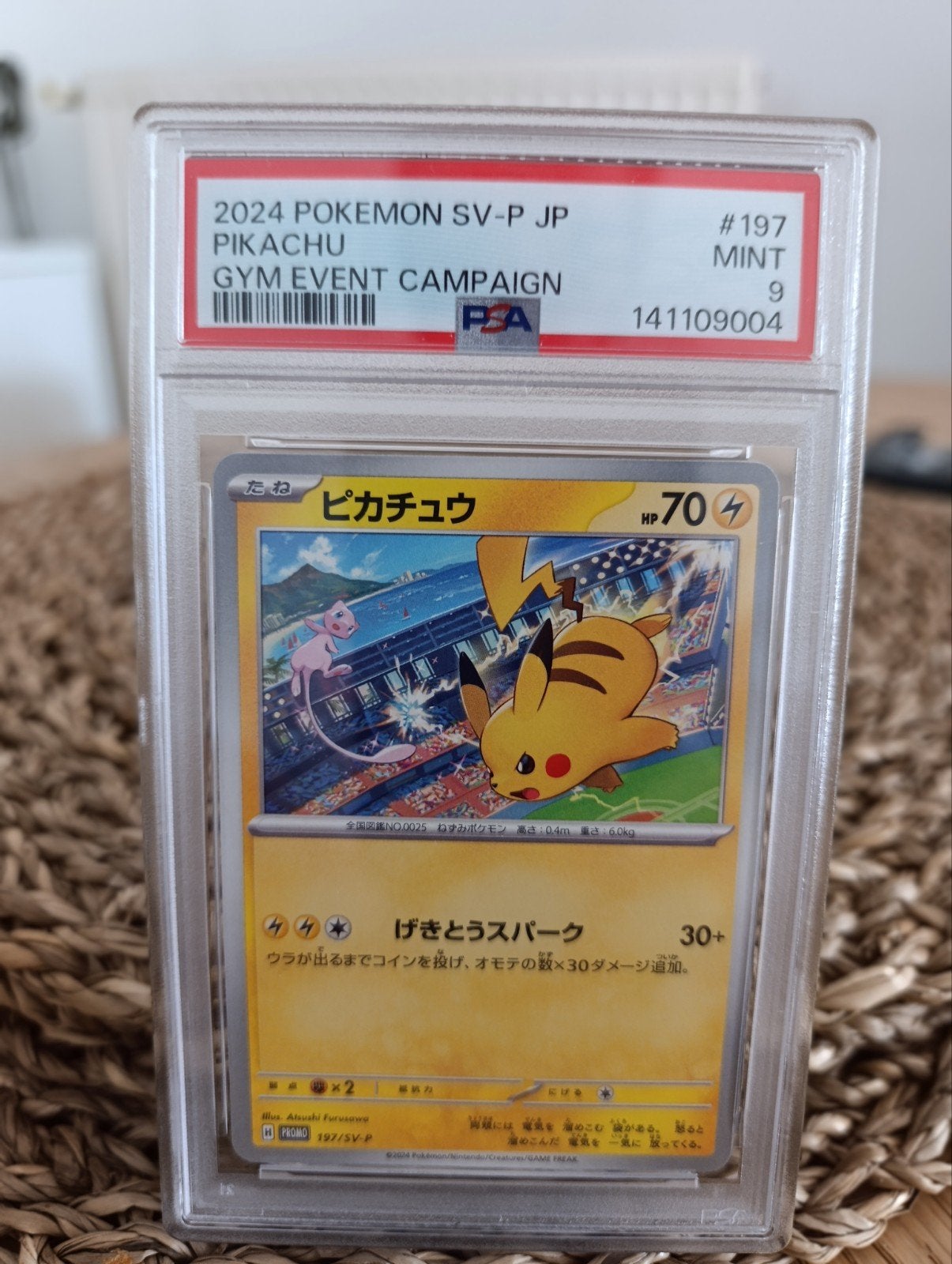 Promo de l'événement Pokémon PSA 9 Pikachu Gym au Japon, Enlèvement ou Envoi