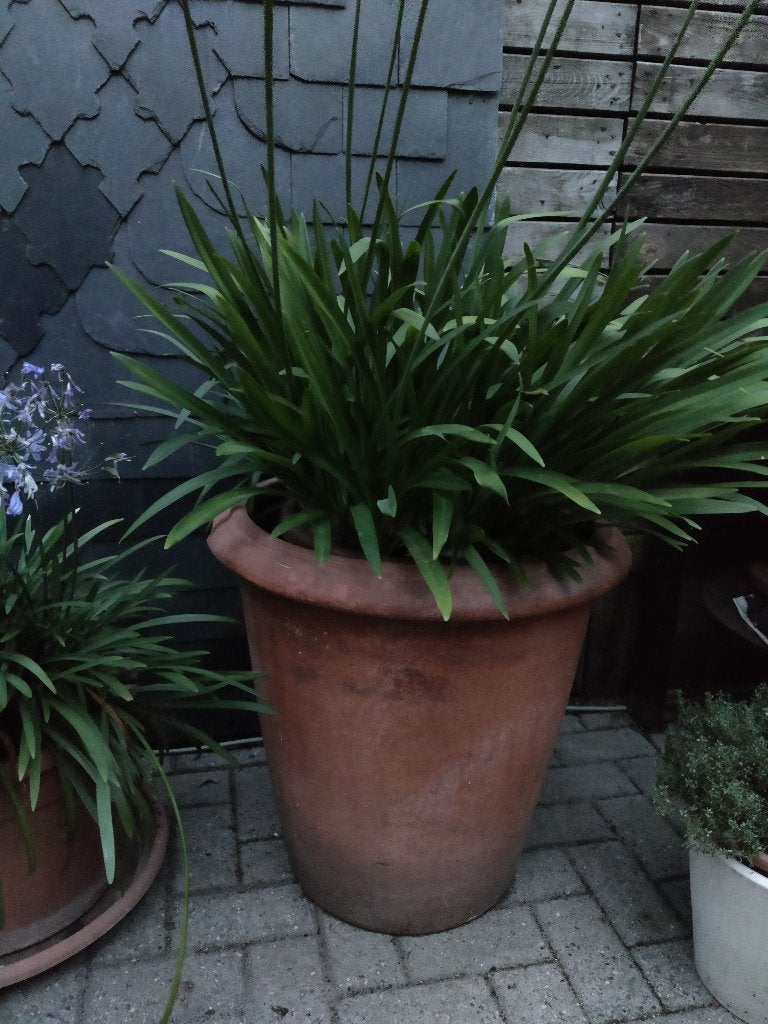 3 pots de jardin en terre cuite « Terra Toscane », Balcon, Comme neuf, Enlèvement, Autres matériaux
