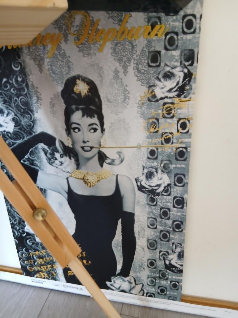 Canvas audrey hepburn, Ophalen