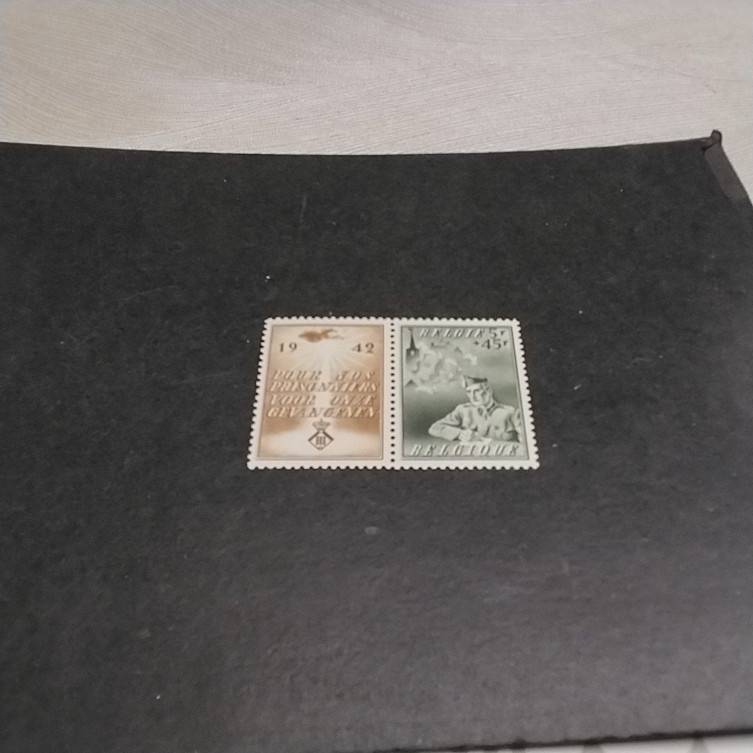 BELGIQUE 602 menthe avec cote 18,00€, Enlèvement ou Envoi, Neuf