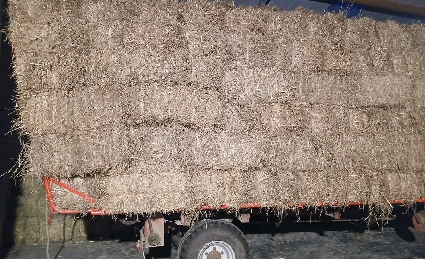 Hooi kleine balen, Zakelijke goederen, Landbouw | Veevoer, Ophalen