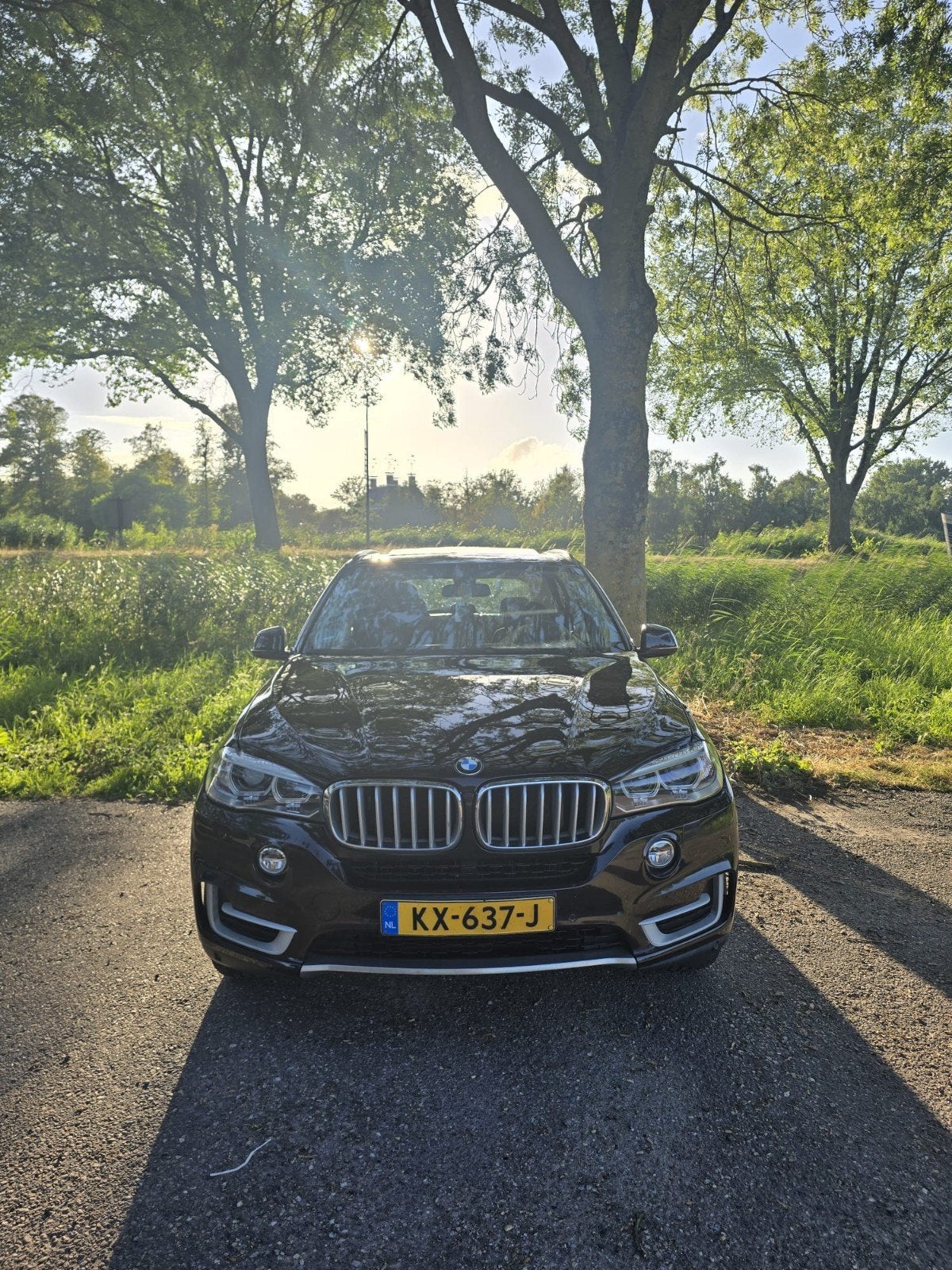 HELE NETTE BMW X5 Xdrive 30D 2015 Bruin, Automaat, 2993 cc, Bruin, Leder