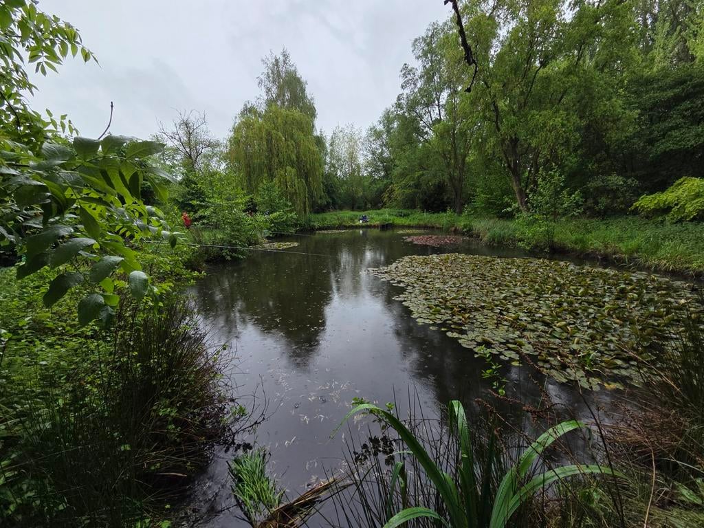Unieke visvijver te koop in Appels – rust, natuur, Immo