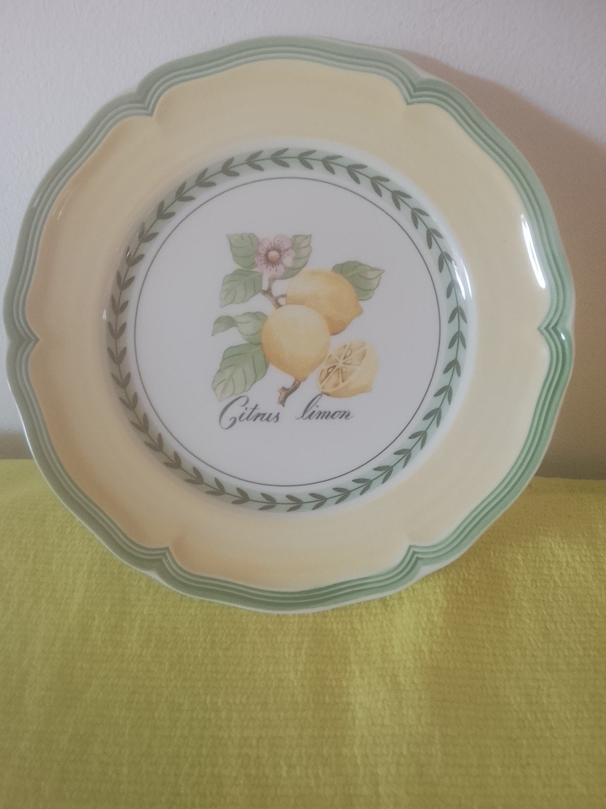Villeroy en Boch french garden Valence bord, Villeroy & Boch, Vintage, Nieuw, Ophalen of Verzenden