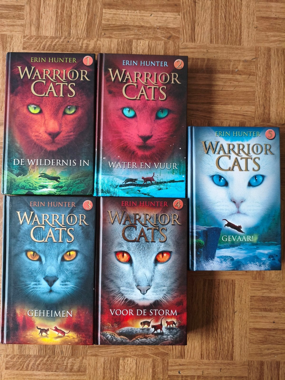 Warrior Cats boekenserie 1 t/m 5 (Hardcover), Livres, Enlèvement