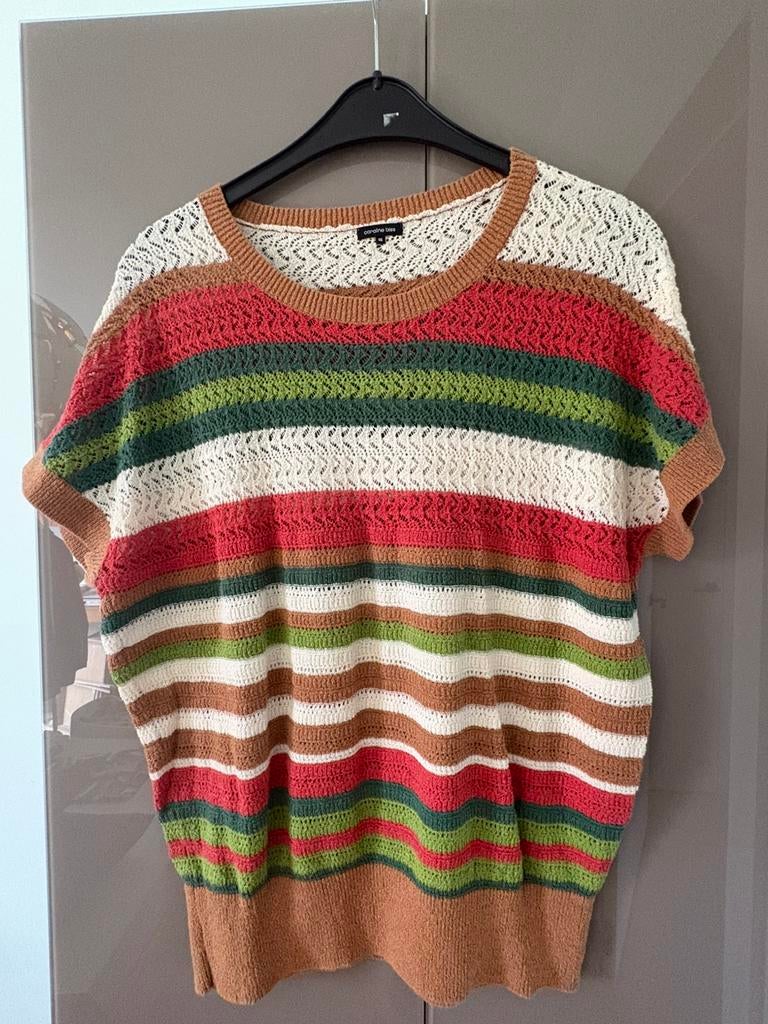 Caroline Biss gehaakte trui, Kleding | Dames, Overige kleuren, Maat 46/48 (XL) of groter, Ophalen of Verzenden, Zo goed als nieuw