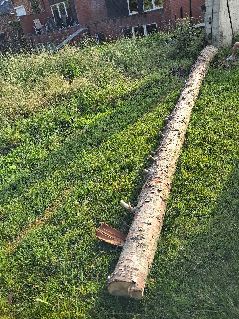 Bois, 3 tot 6 m³, Ophalen, Overige houtsoorten, Stammen