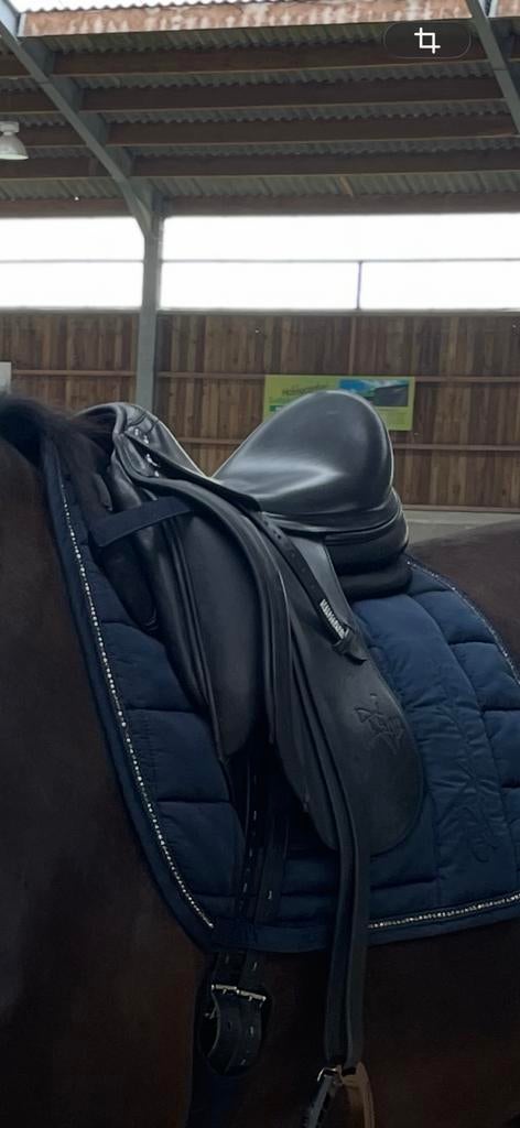Prestige X Helen Dressage Saddle 17" MW, Enlèvement ou Envoi, Comme neuf, Dressage
