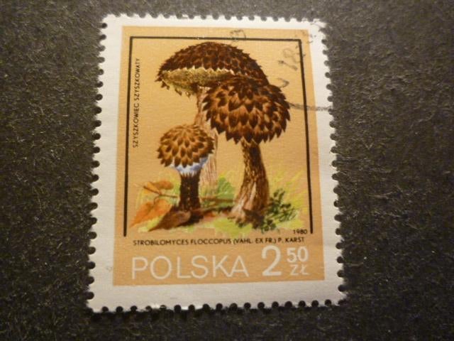 Polen/Pologne 1980 Mi 2695(o) Gestempeld/Oblitéré, Verzenden, Polen