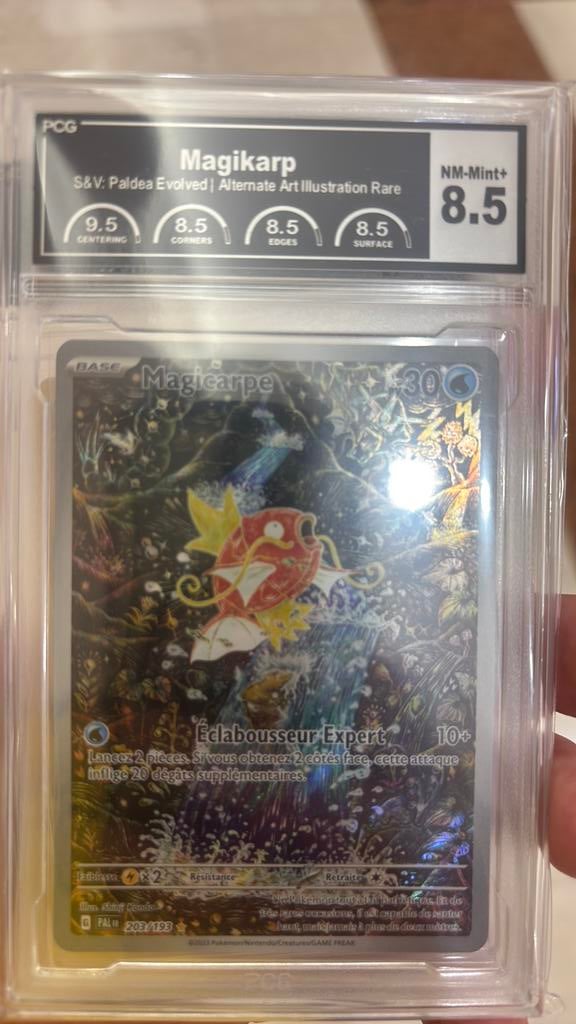 Magicarpe de paldea 203/195 grader 8.5, Ophalen, Nieuw
