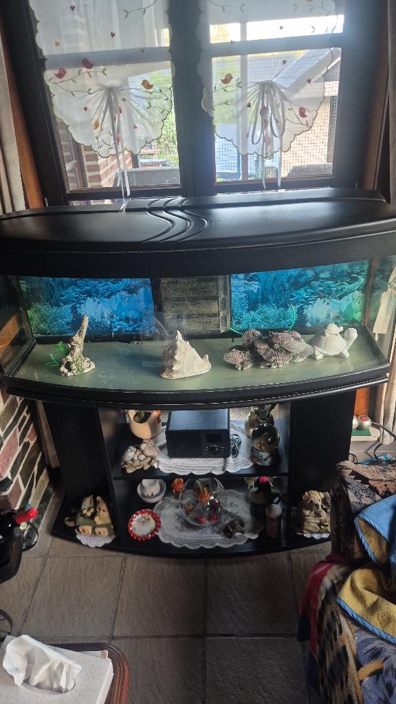 Aquarium met kast, Ophalen, Gebruikt, Inclusief deksel, Aquatlantis