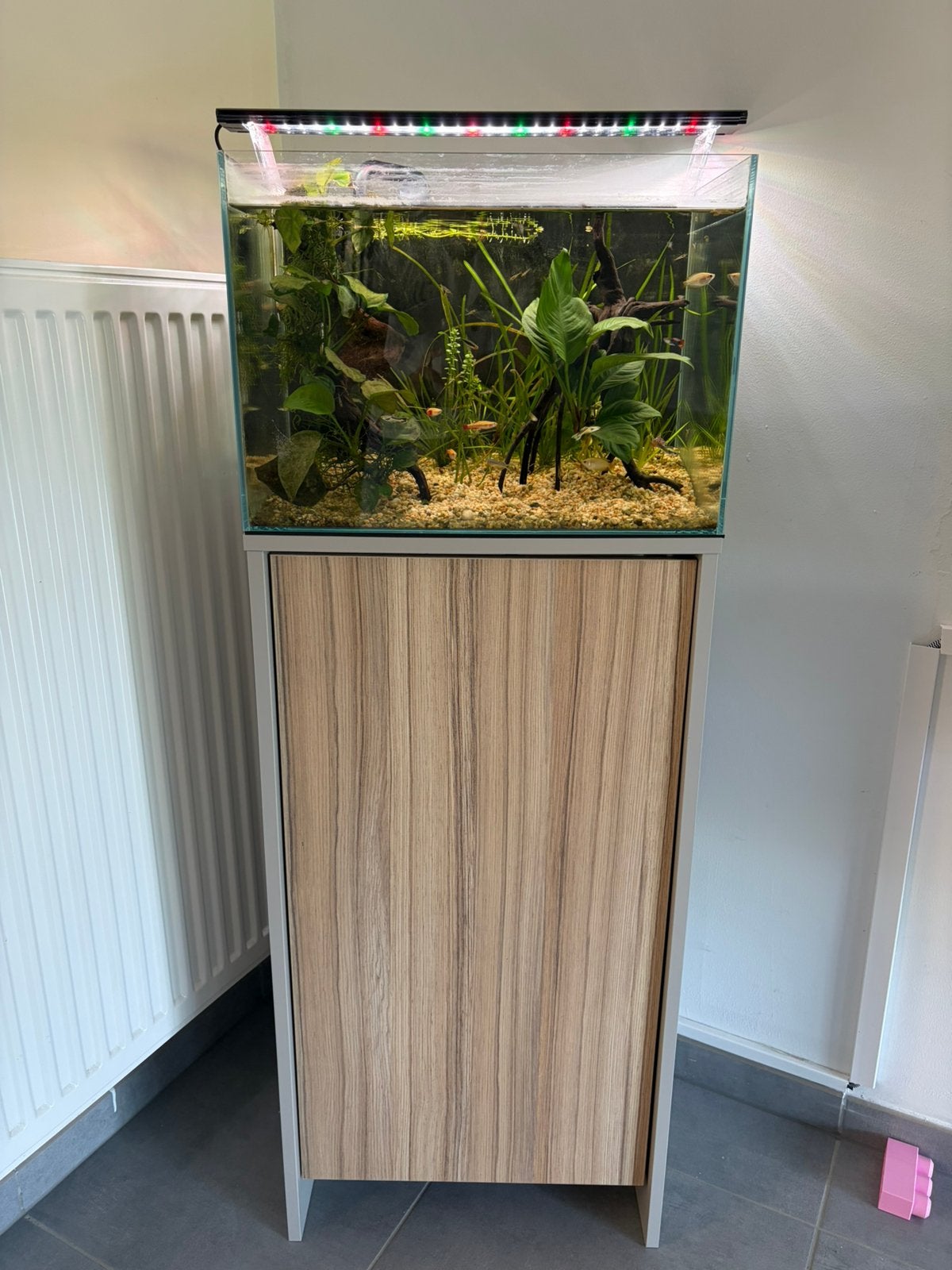 Aquarium eau douce, Ophalen of Verzenden, Zo goed als nieuw, Sera