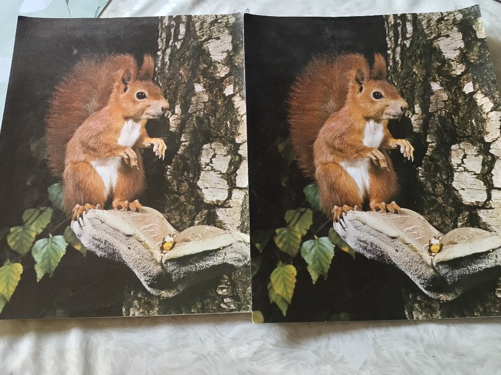 2 lettres de Nouvel An- photo Reinhard - Baert imprimé, Enlèvement ou Envoi
