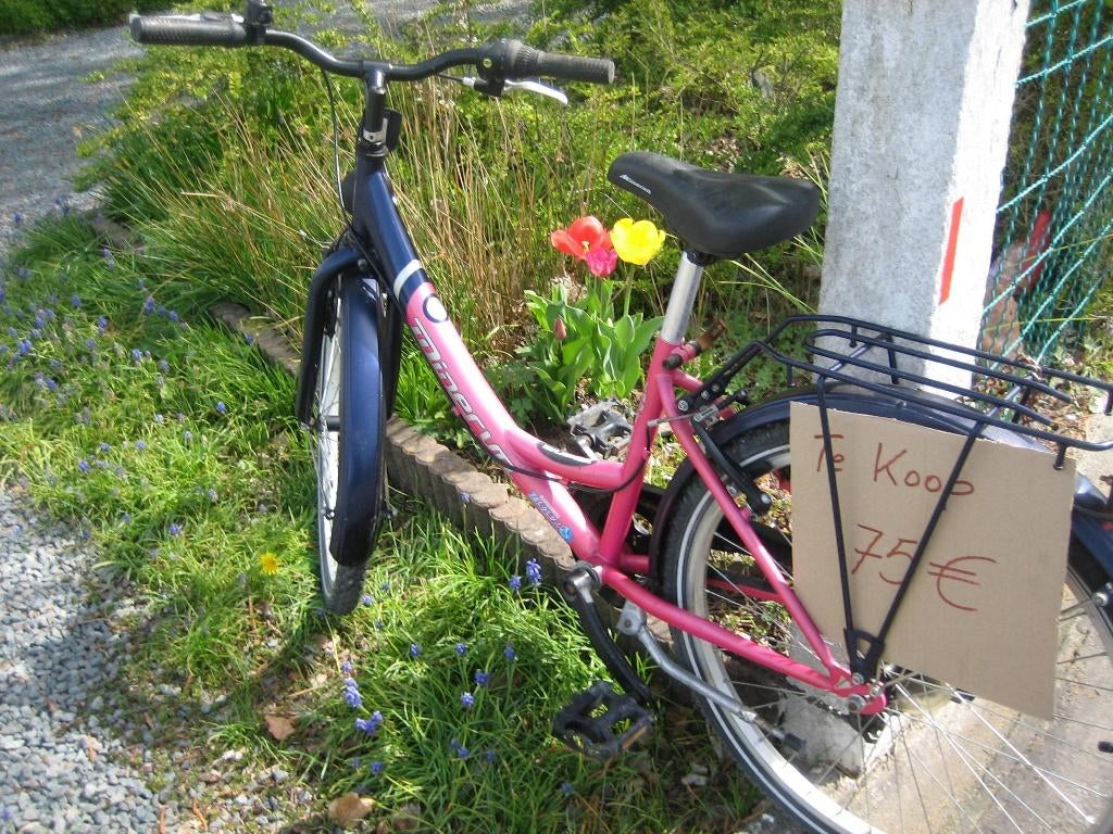 meisjes fiets voor 10 jarigen startklaar, Enlèvement, Comme neuf, Minerva, Vitesses