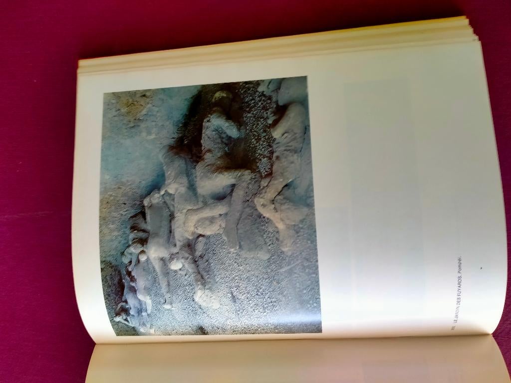 Toutankhamon et Pompéi de Raymonde De Gans, Enlèvement