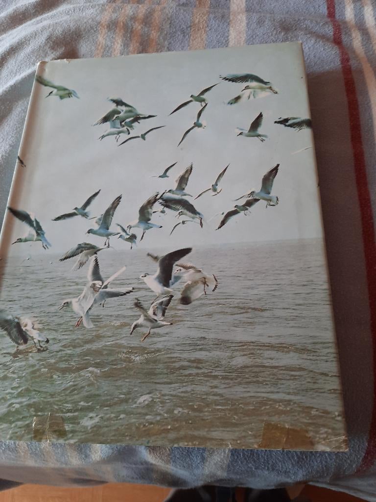 mooi dik boek natuur en vogelreservaten het zwin deel 1, Ophalen of Verzenden