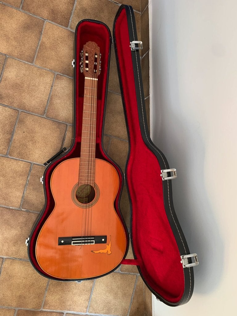 Guitare + étui, Enlèvement, Utilisé, Guitare classique ou espagnole, Avec valise