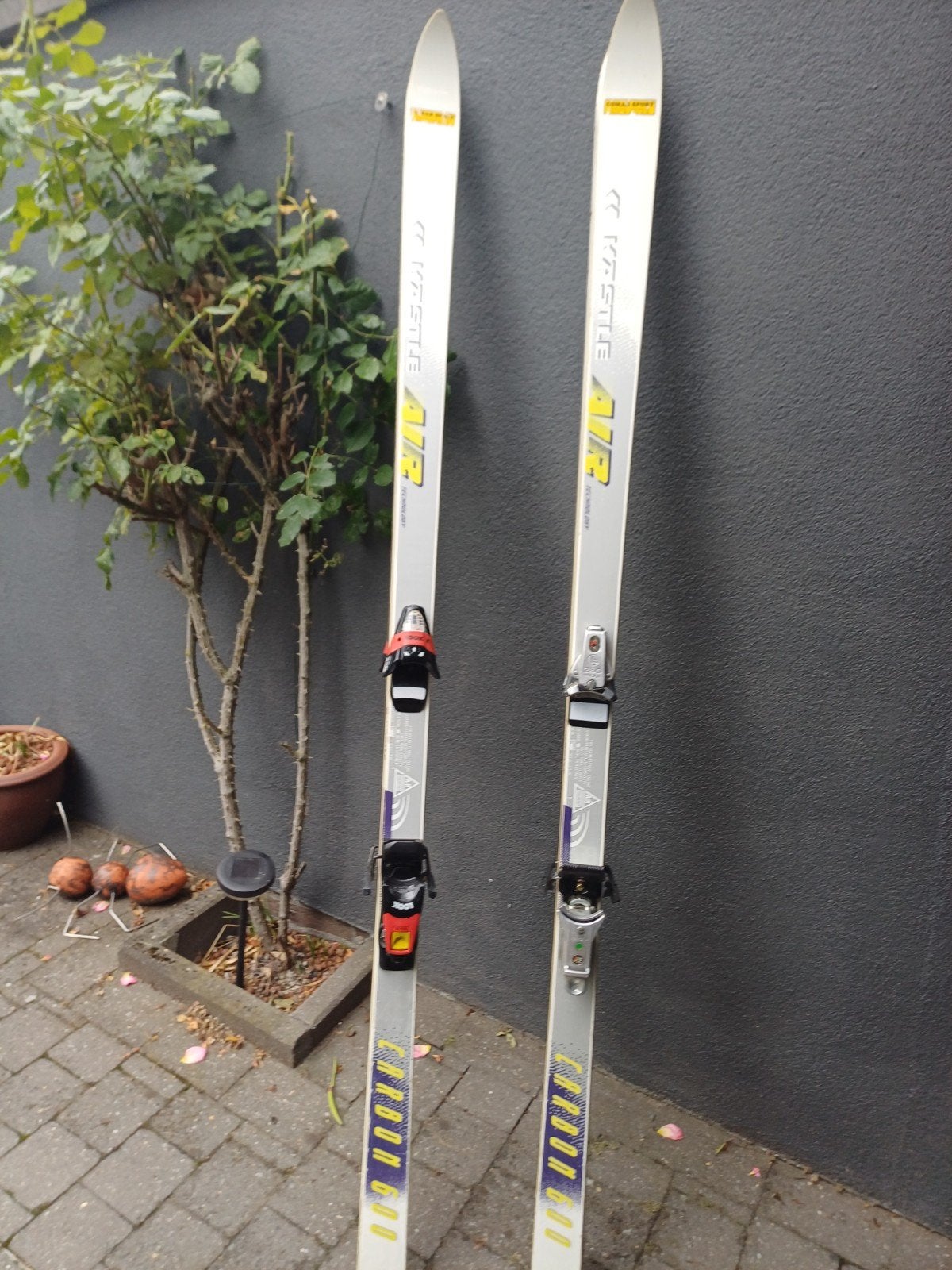 Skis et bâtons gratuits, Sports & Fitness, Enlèvement, Ski, Skis