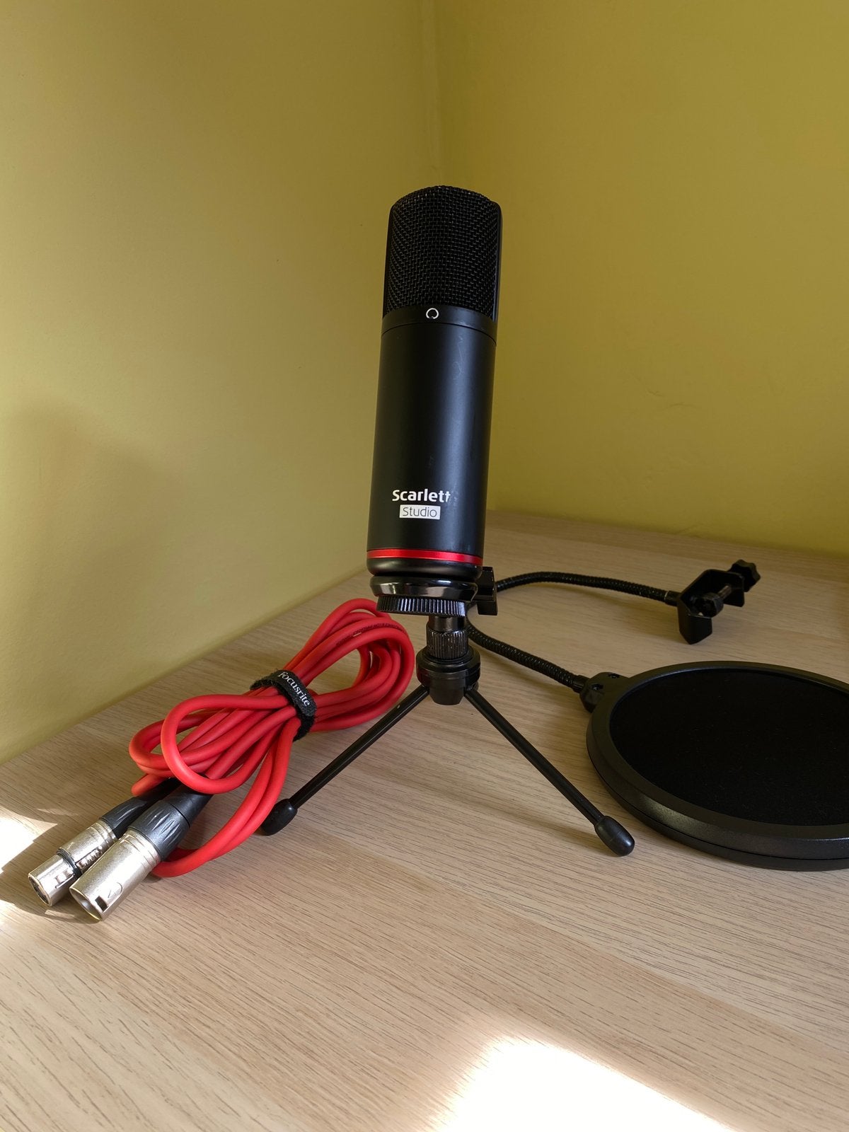 Focusrite scarlett studio microphone +popfilter en standaard, Muziek en Instrumenten, Microfoons, Ophalen of Verzenden, Zo goed als nieuw