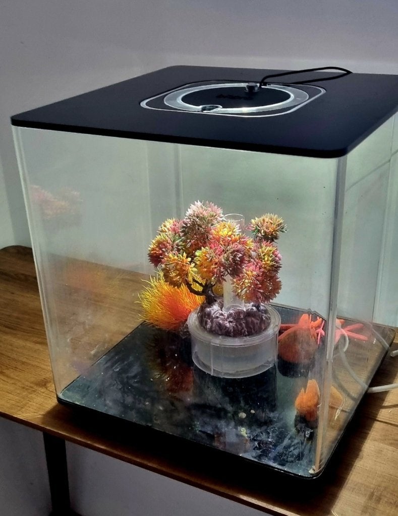 Aquarium, Ophalen, Inclusief planten, Gebruikt, Decoratie