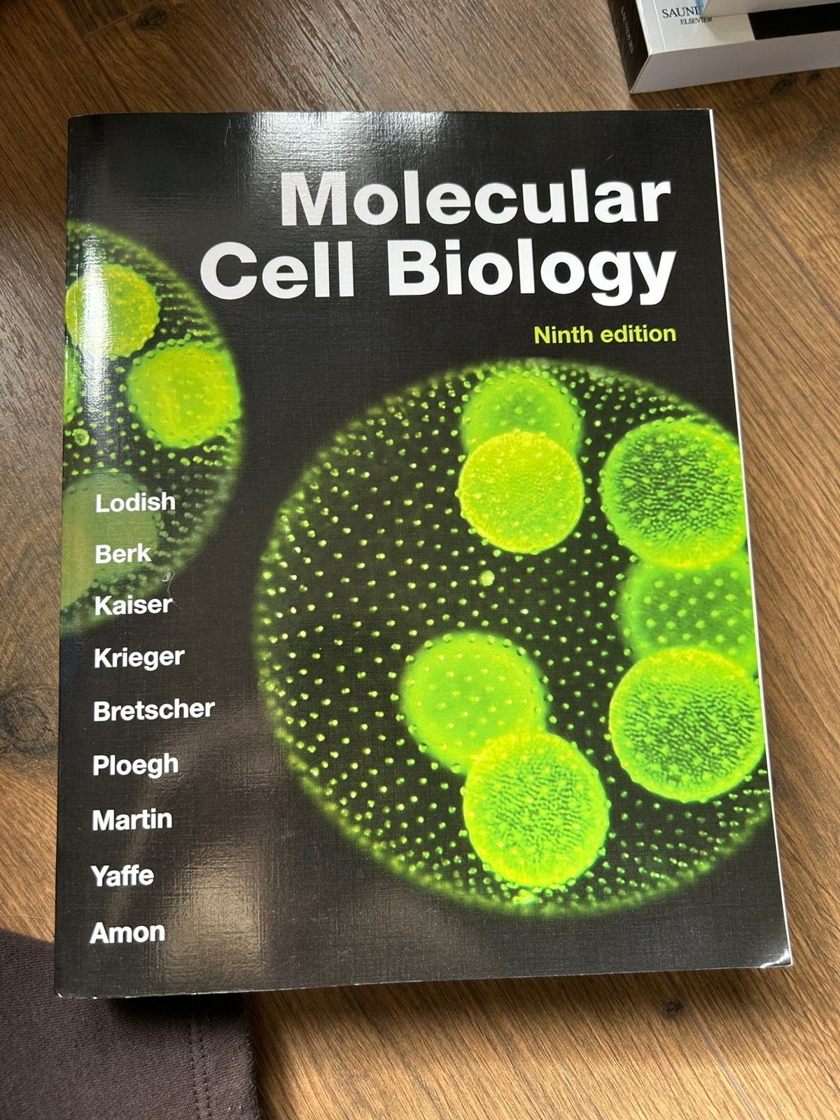 Molecular Cell Biology – Ninth Edition, Ophalen of Verzenden, Nieuw
