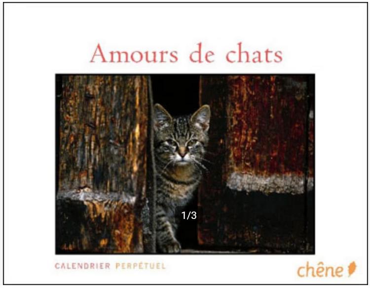 Calendrier perpétuel Amours de chats, Divers, Enlèvement ou Envoi, Calendrier quotidien, Comme neuf