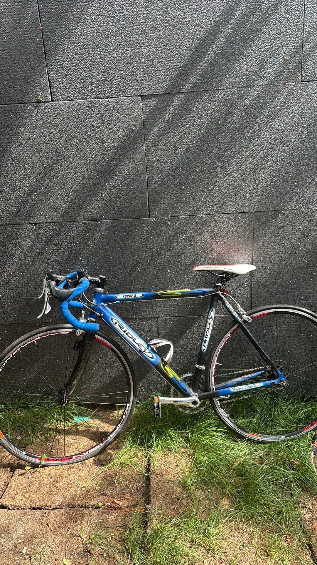 Race fiets Ridley Force 6 framaat 54 cm wielmaat 28 inch., Fietsen en Brommers, Ophalen, 28 inch, Zo goed als nieuw, Heren