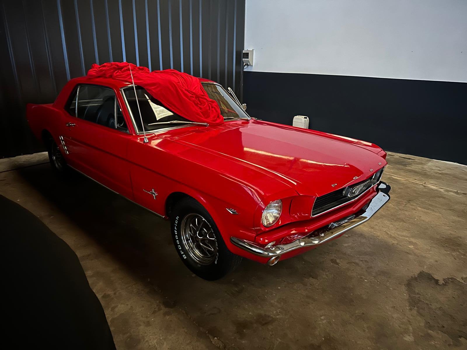 Ford Mustang 289 V8, Achat, Particulier, Mustang, Essence
