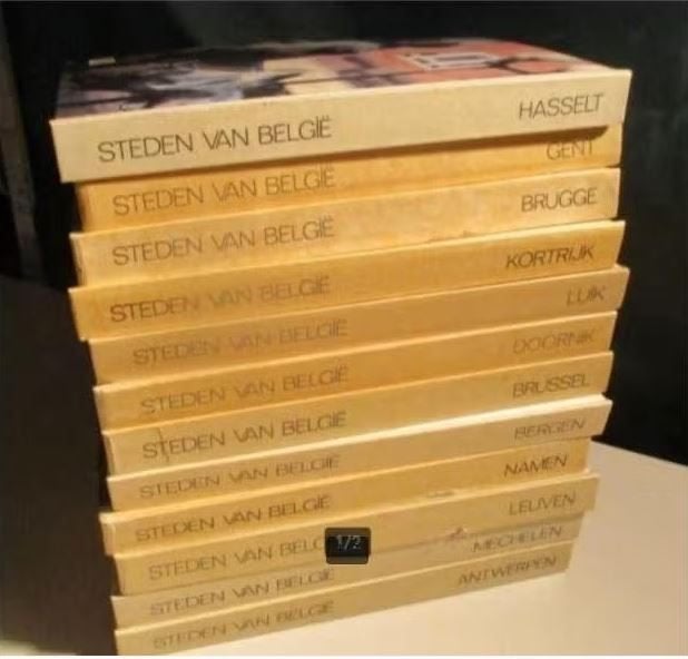 12 magnifiques livres d'images - Villes de Belgique, Livres, Livres d'images & Albums d'images, Enlèvement ou Envoi, Comme neuf