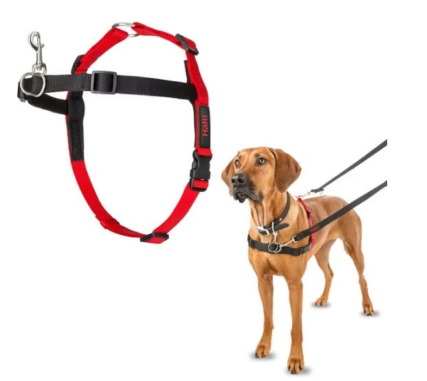 Halti Front Control hondenharnas M, Dieren en Toebehoren, Honden-accessoires, Ophalen of Verzenden, Nieuw, Halsband