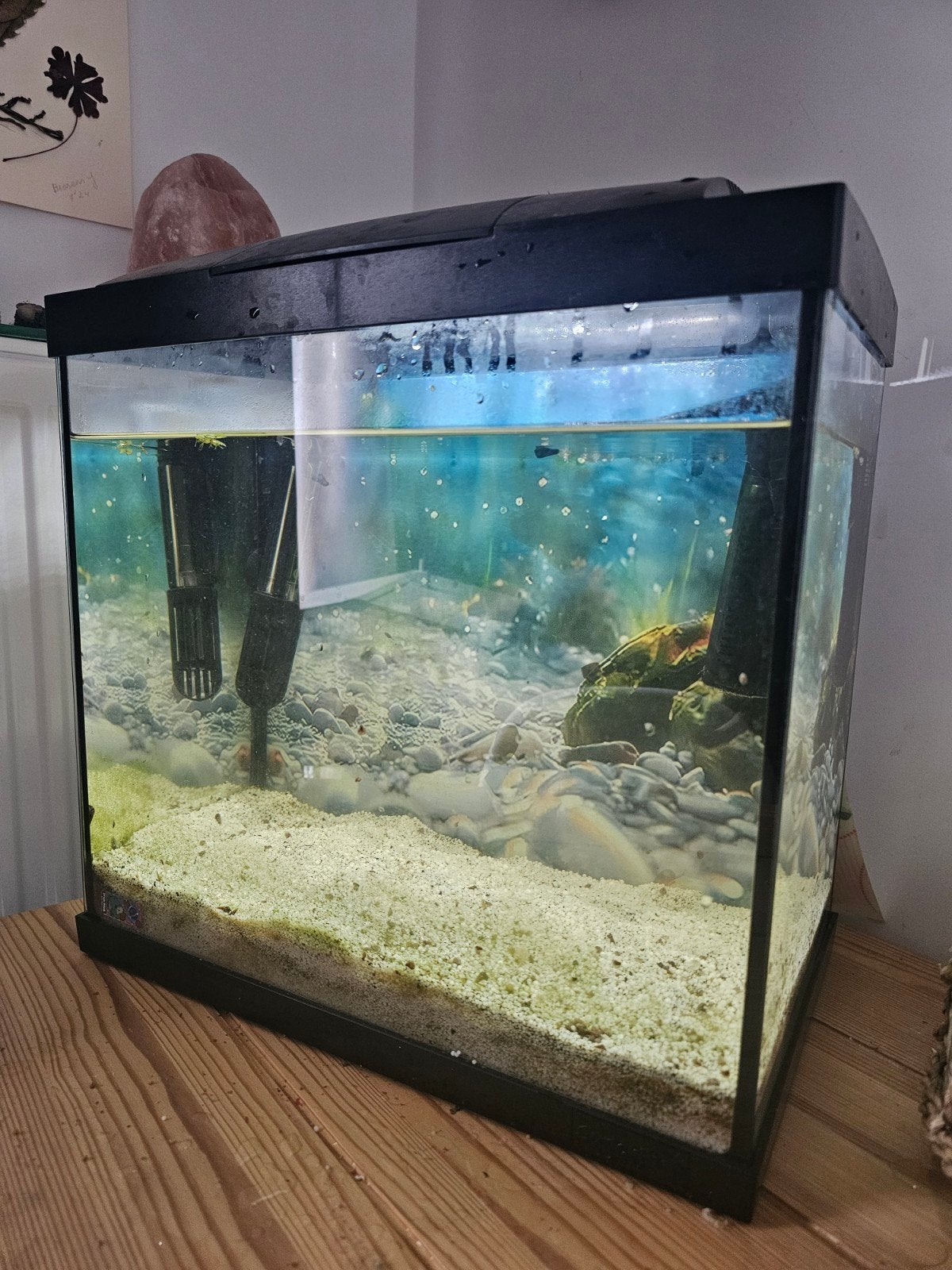 Klein aquarium, Dieren en Toebehoren, Vissen | Aquaria en Toebehoren, Ophalen, Verwarming, Filter