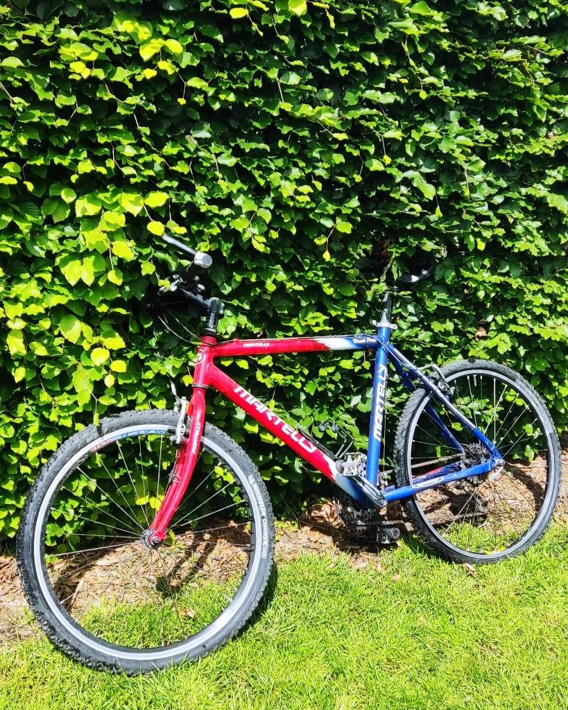 Martelly Fiets, Gebruikt, 15 tot 20 versnellingen, Schijfrem, Ophalen