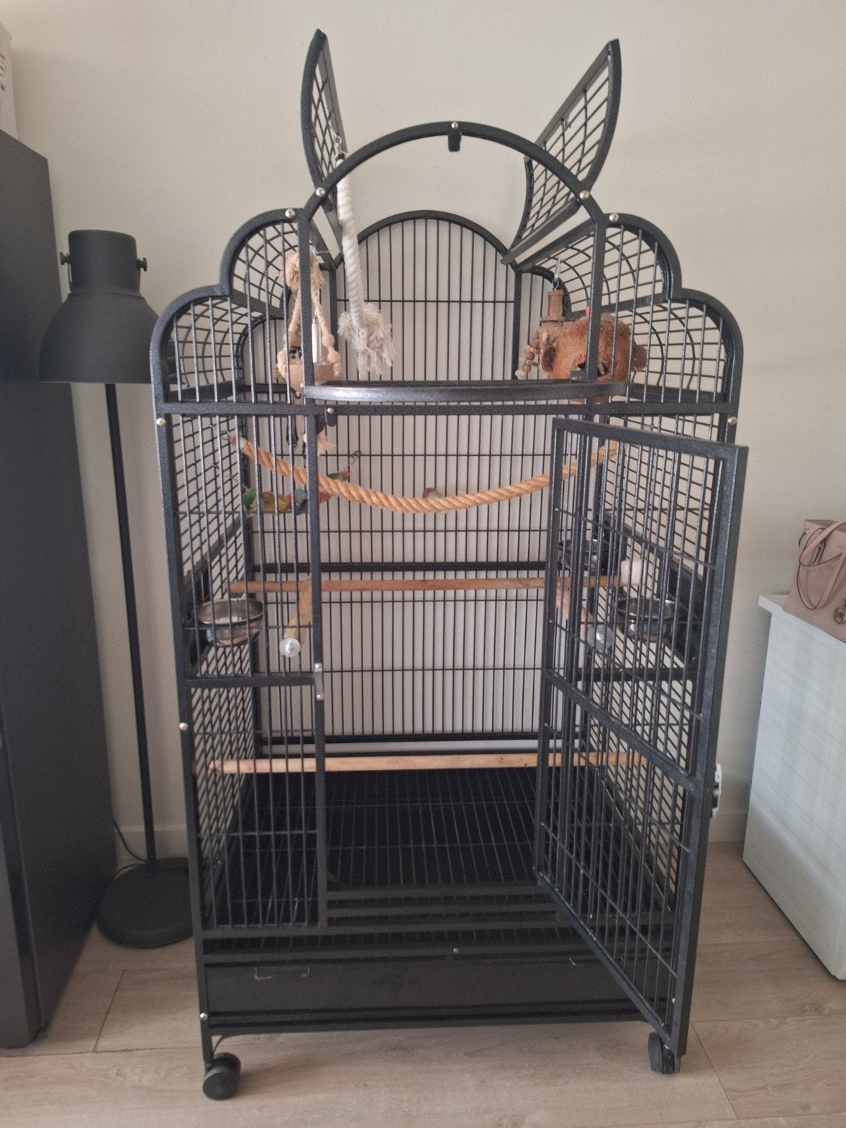 Papegaaienkooi, Dieren en Toebehoren, Ophalen