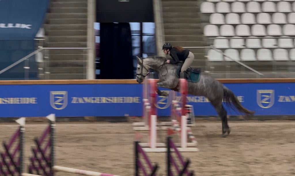 Fijne, eerlijke allround merrie