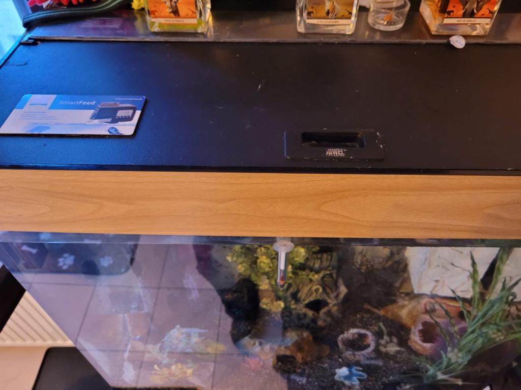 Aquaria, Dieren en Toebehoren, Vissen | Aquaria en Toebehoren, Ophalen, Inclusief deksel, Zo goed als nieuw, Gevuld zoetwateraquarium