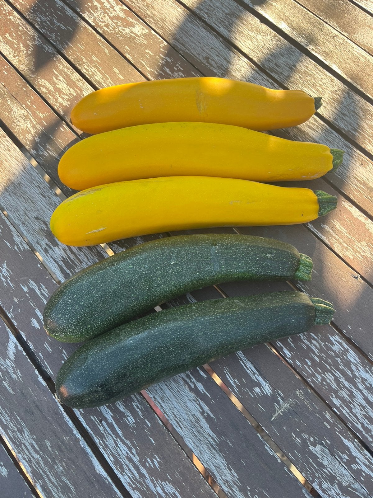 Courgette, Tuin en Terras, Ophalen, Zo goed als nieuw