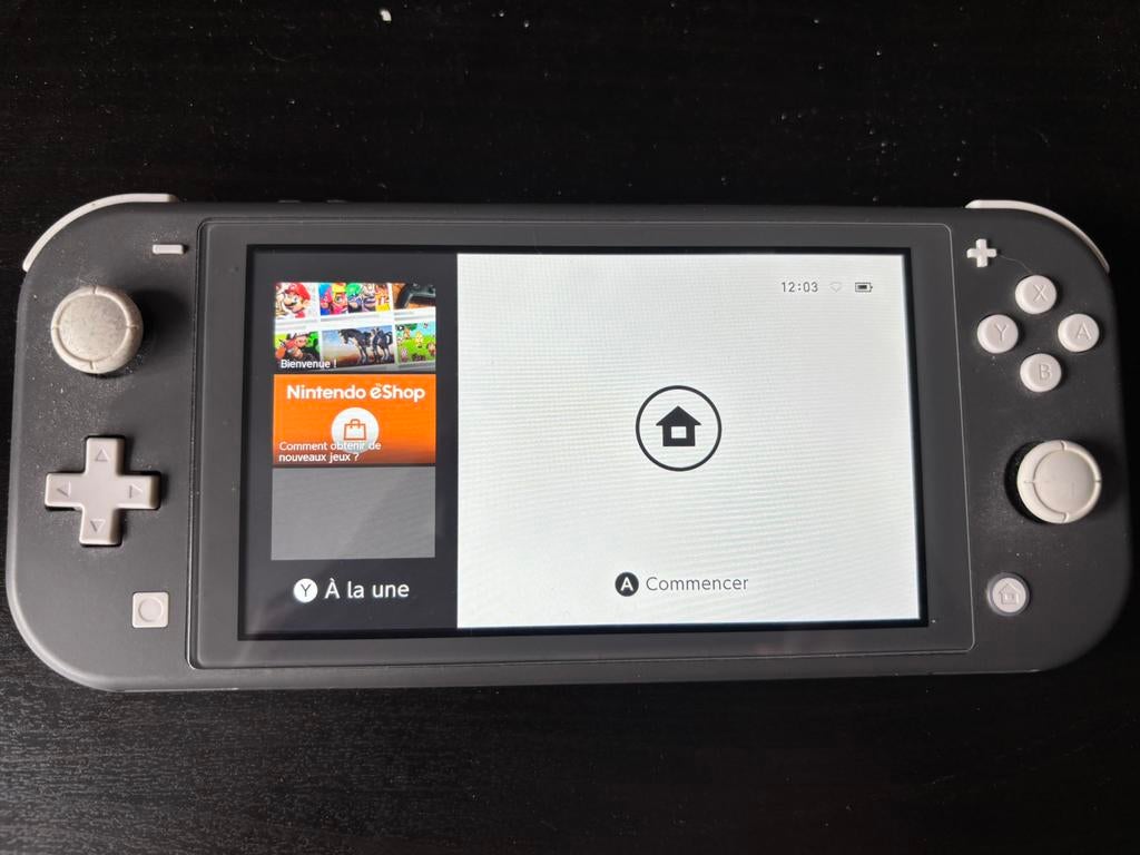 Nintendo switch lite, Games en Spelcomputers, Spelcomputers | Nintendo Switch Lite, Zo goed als nieuw, Grijs, Ophalen